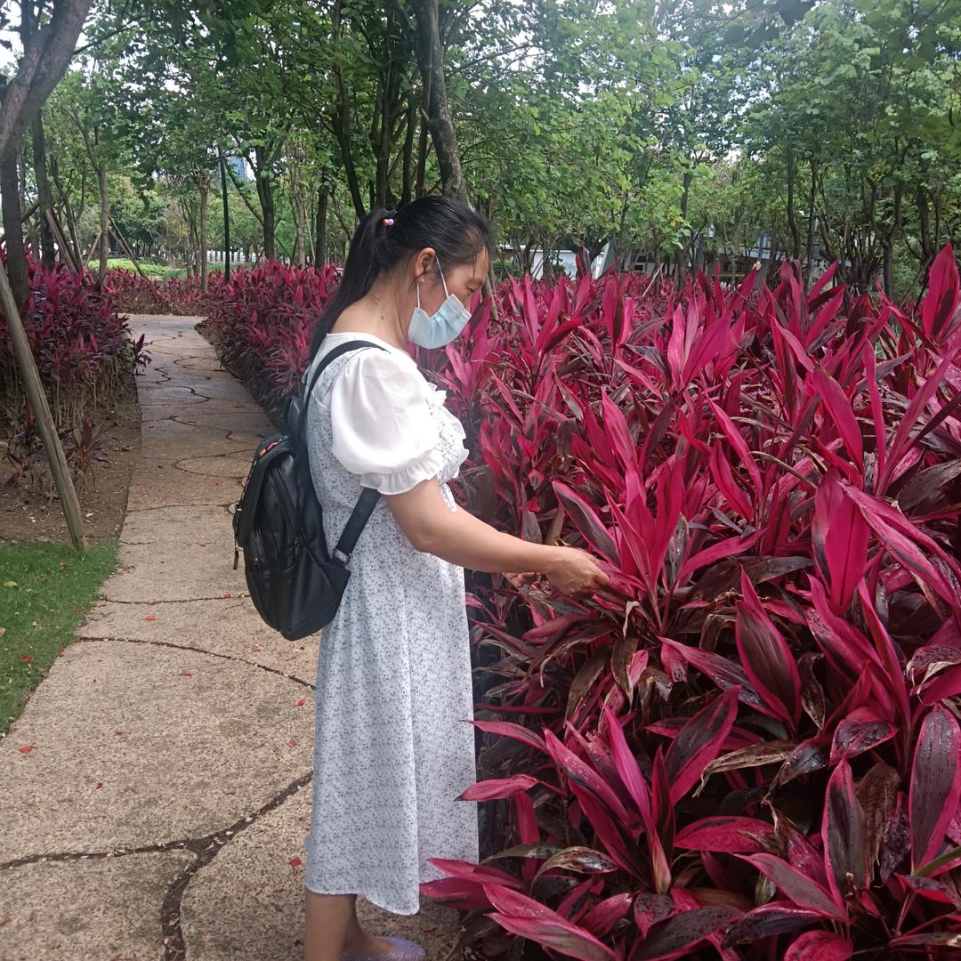 梦里什么都有