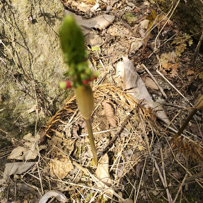 你对我而言在以不特别