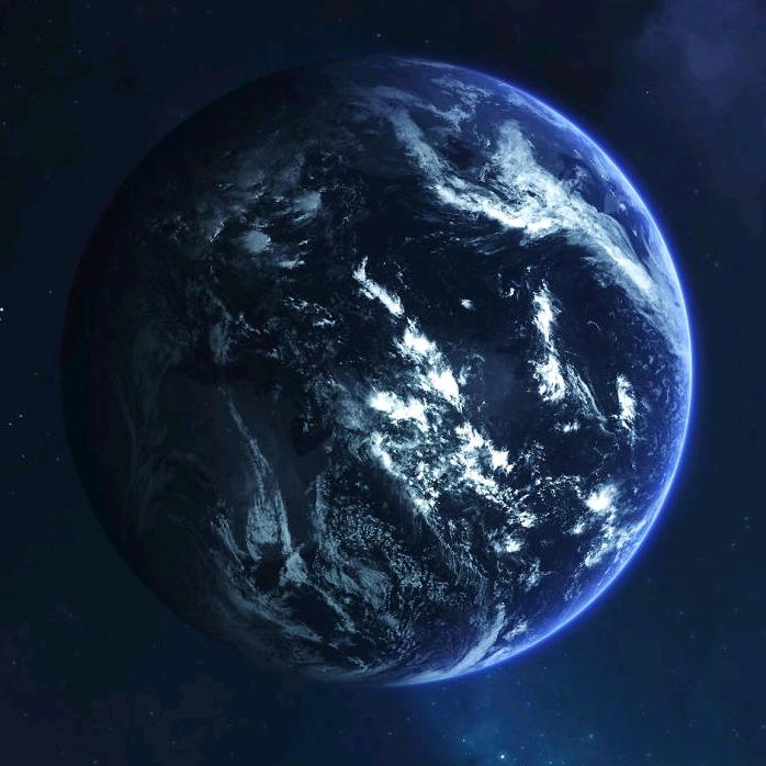 有我就有家(启东万安市场专业杀鸡鸭鹅）