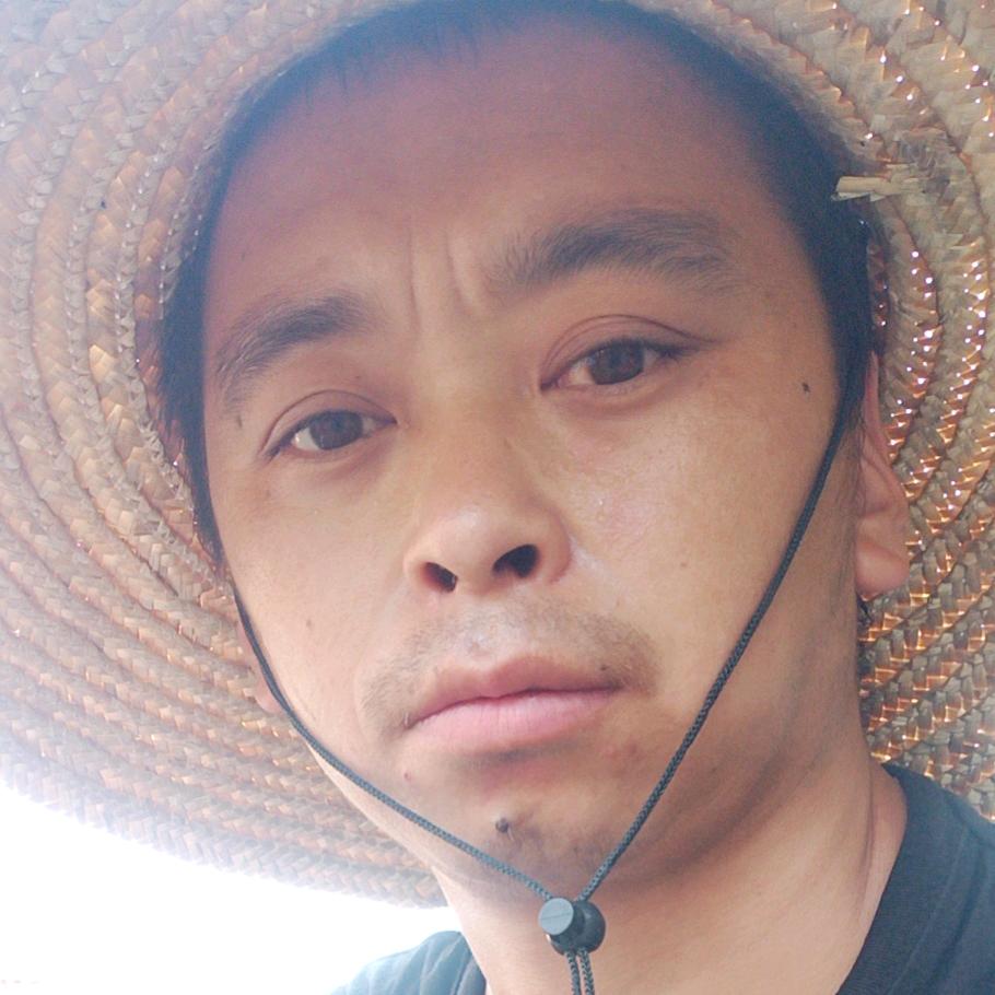 哈了又哨