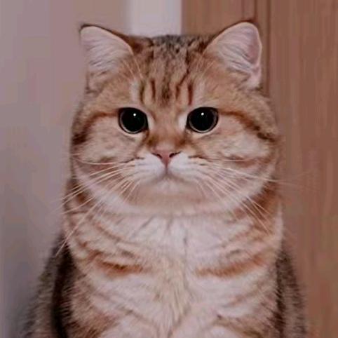 hwh