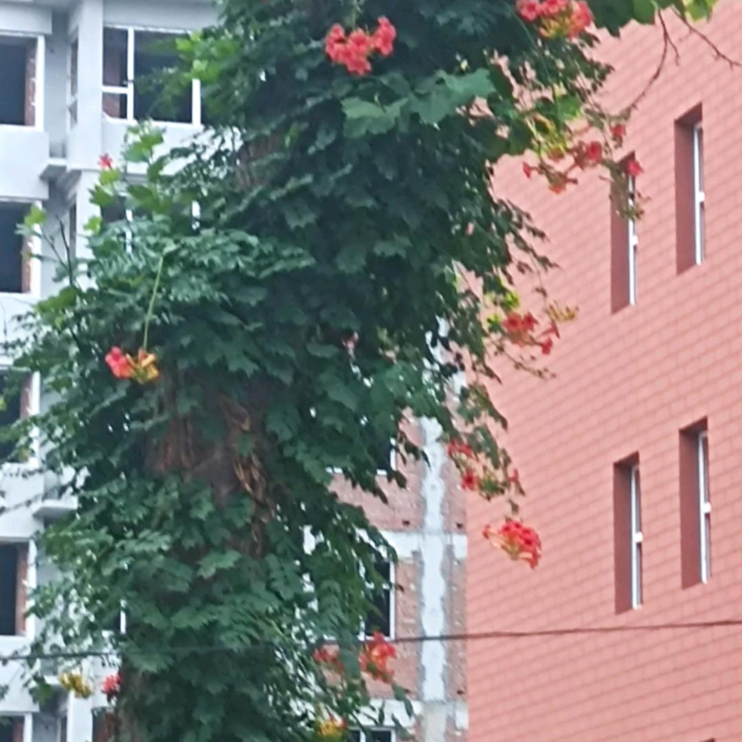 用户157706252