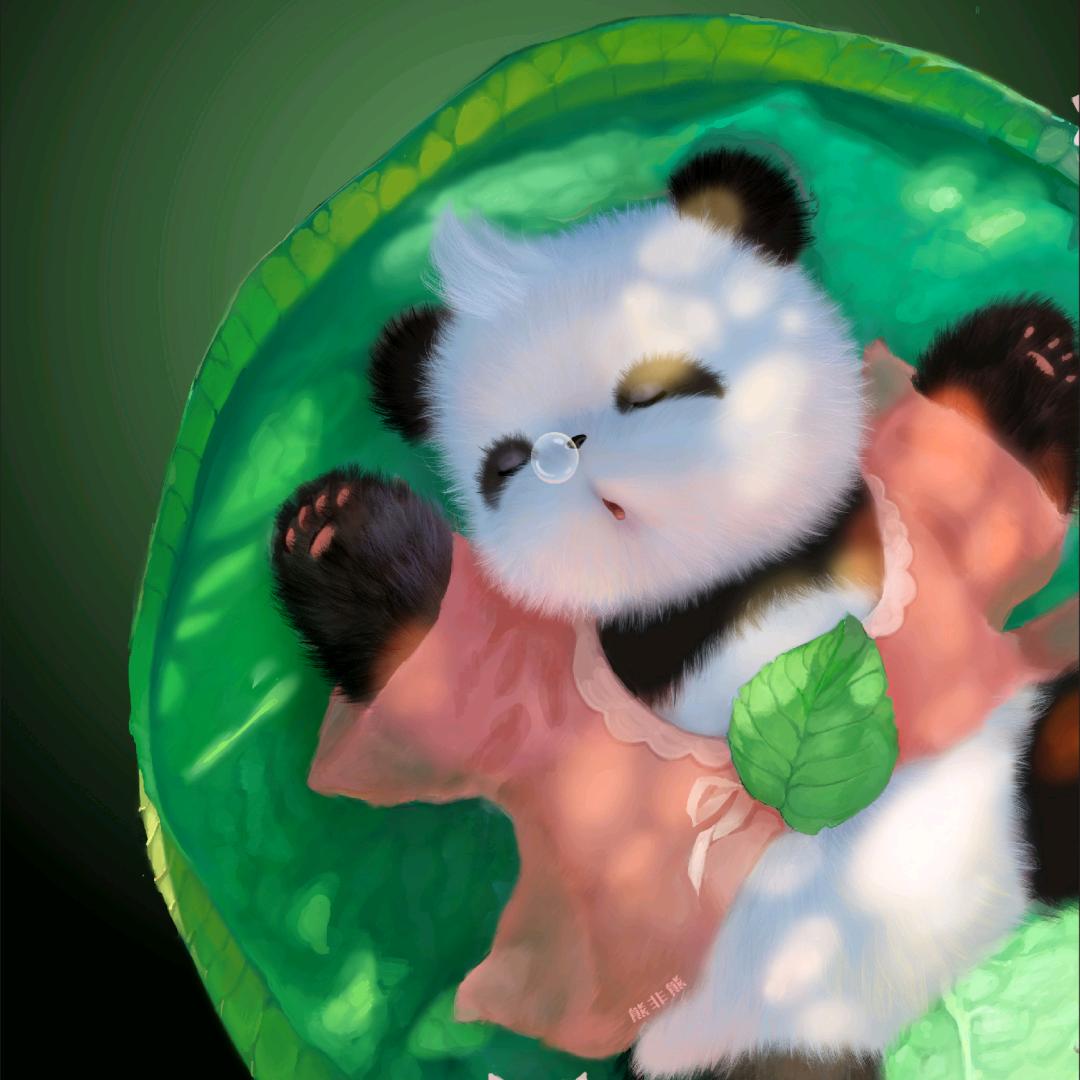 懒猫一只