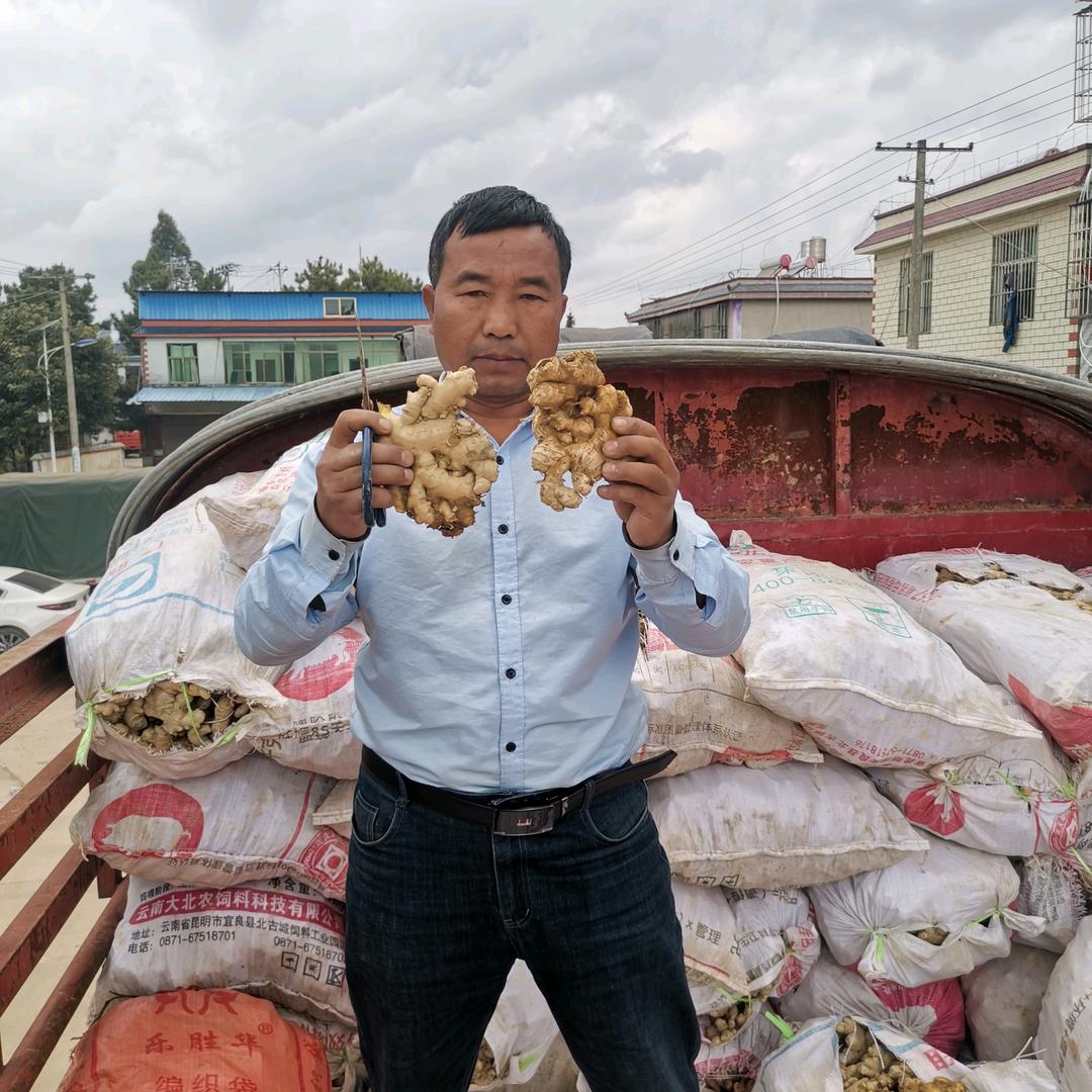 云南生态，坝溜，杨发祥