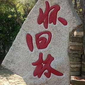 漂云