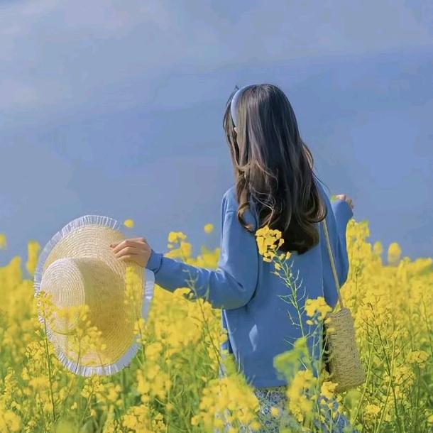 随心所欲