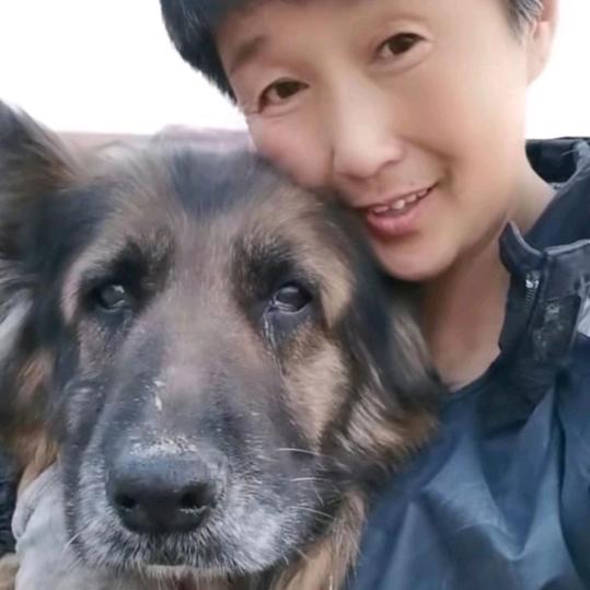 宏威家族