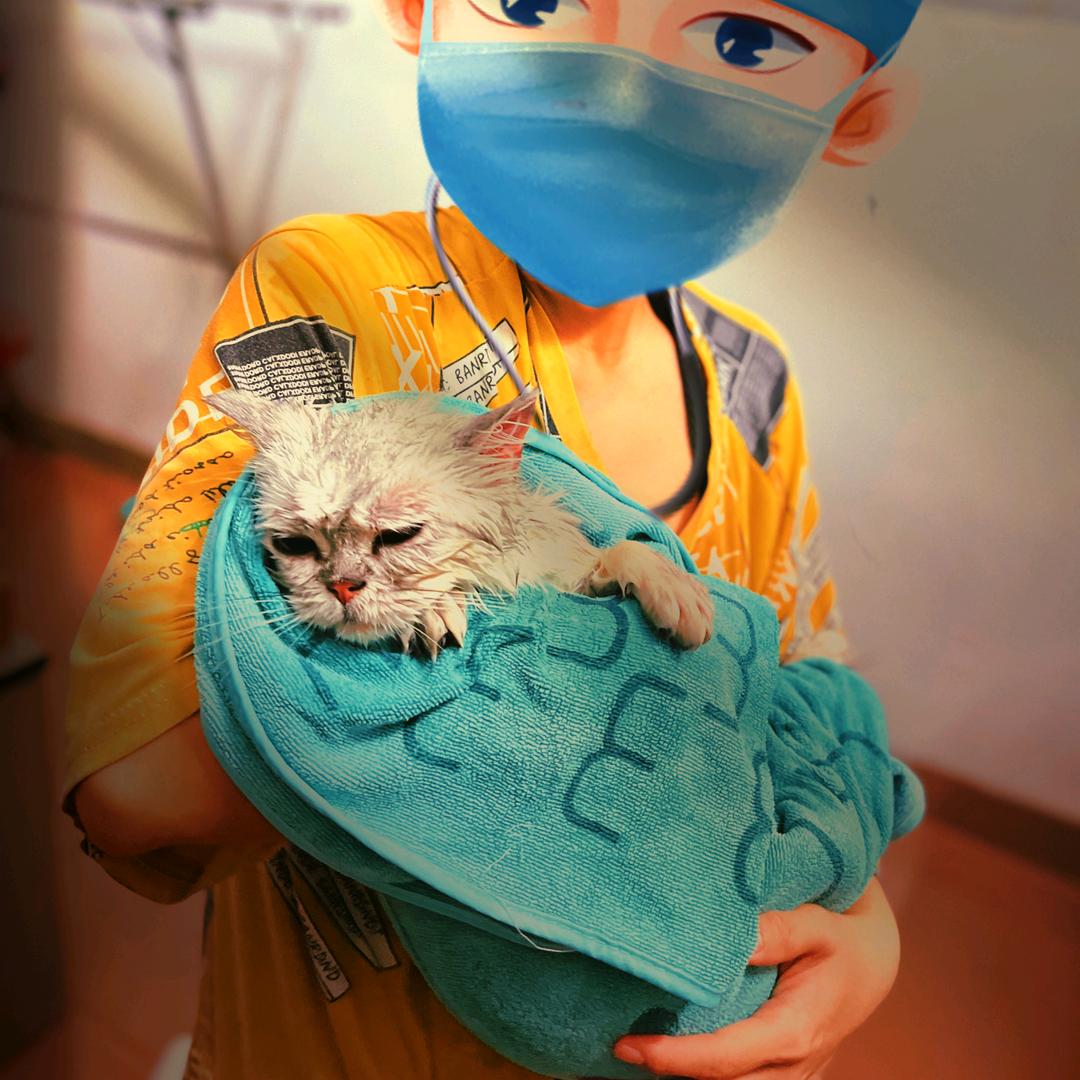 大风暴富