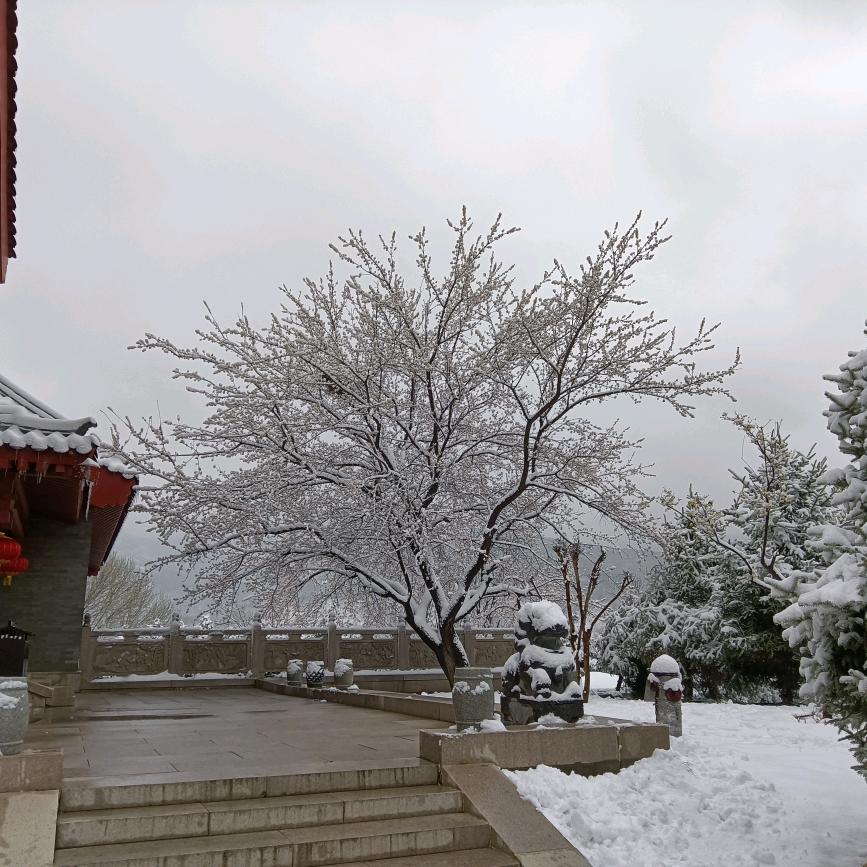 芙姗雅娴