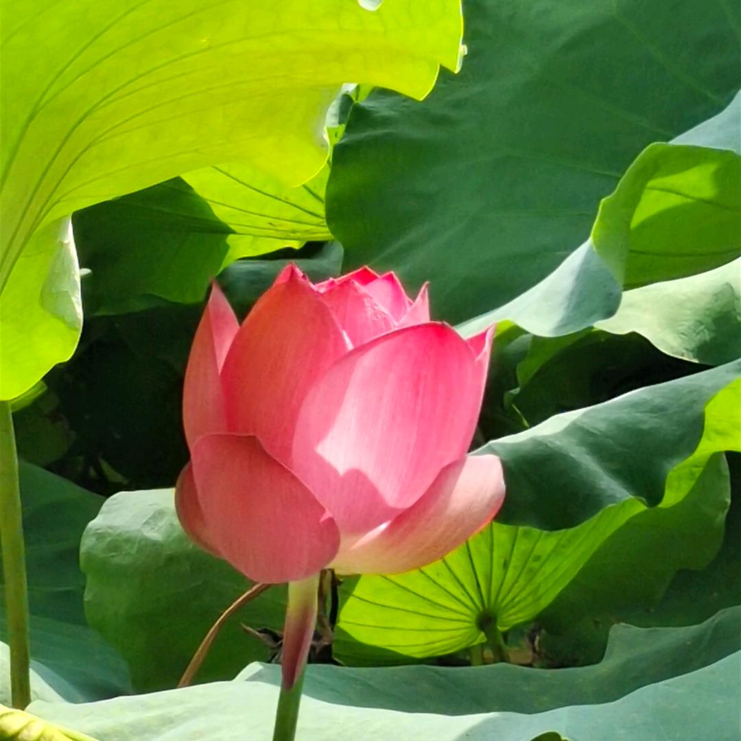 曾老师