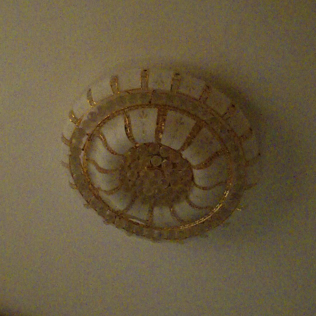 一缕阳光