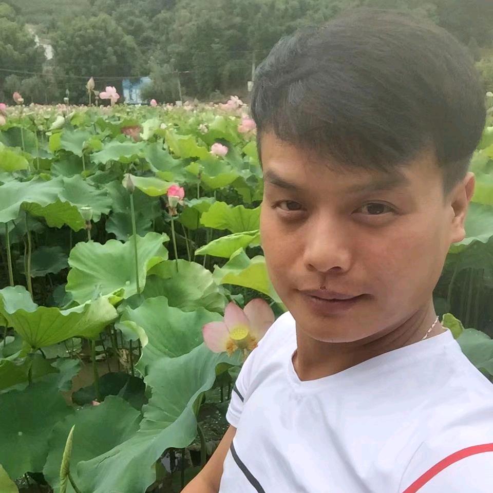 夏天    （首播凌晨03:30分）