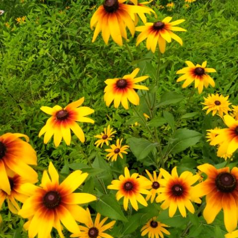 ～期待，想念～