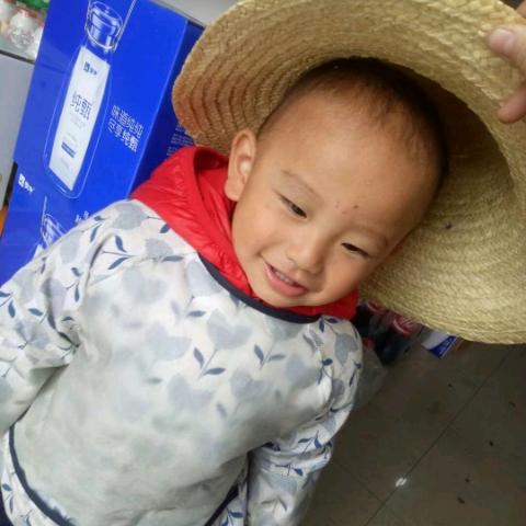 柿柿如意
