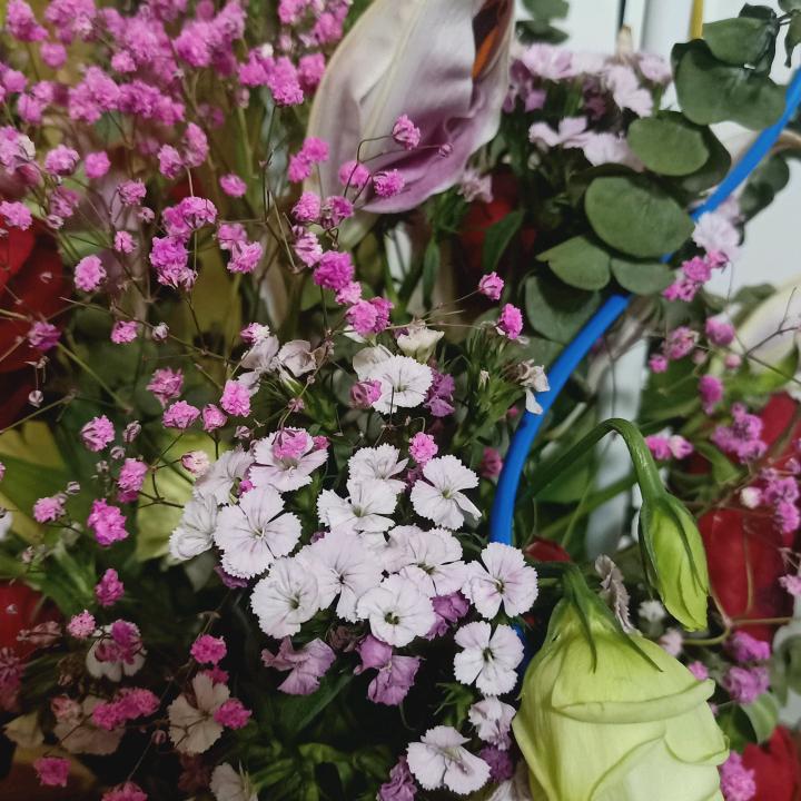 做手工的龙龙