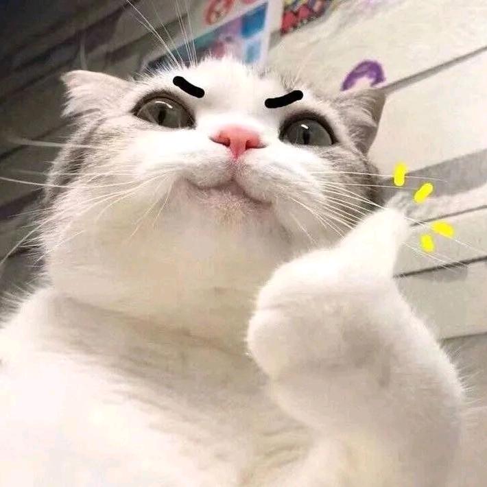 猛男七哥