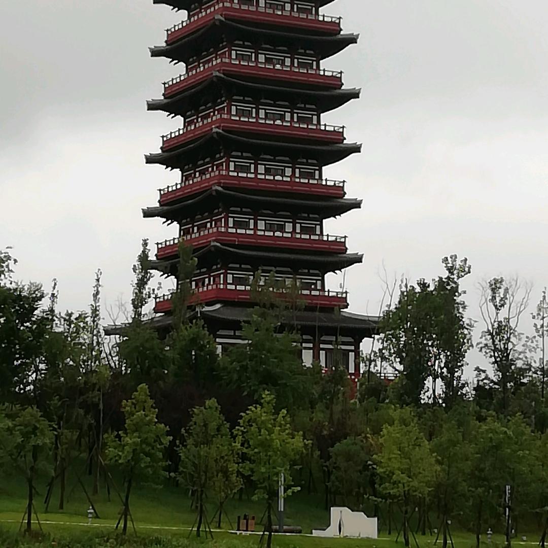 和平.