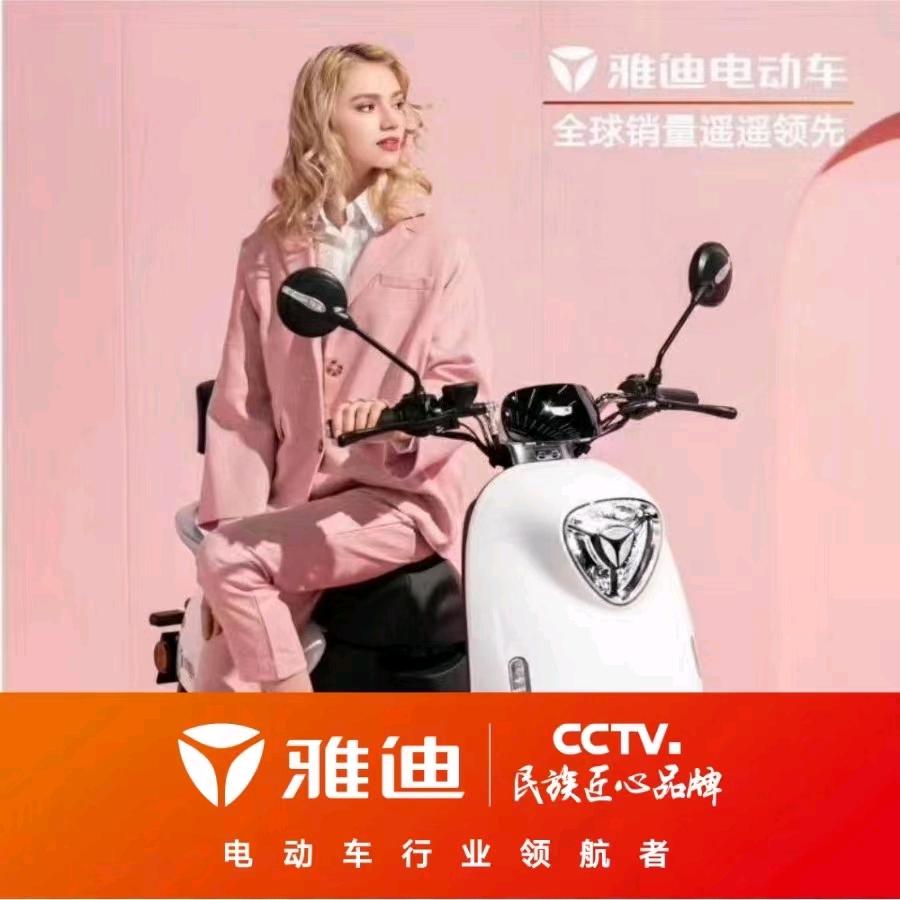 池州雅迪金碧秋浦店陶峰车行