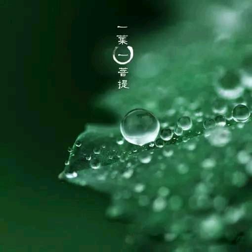 山点水