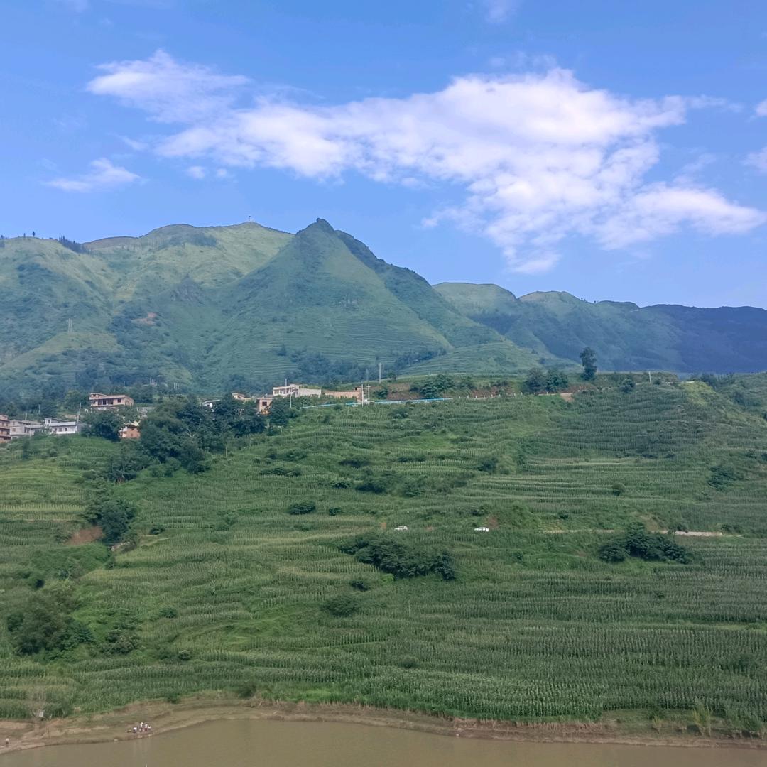 寿材小哥《漆匠石峰》