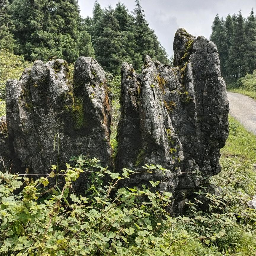 游侠记