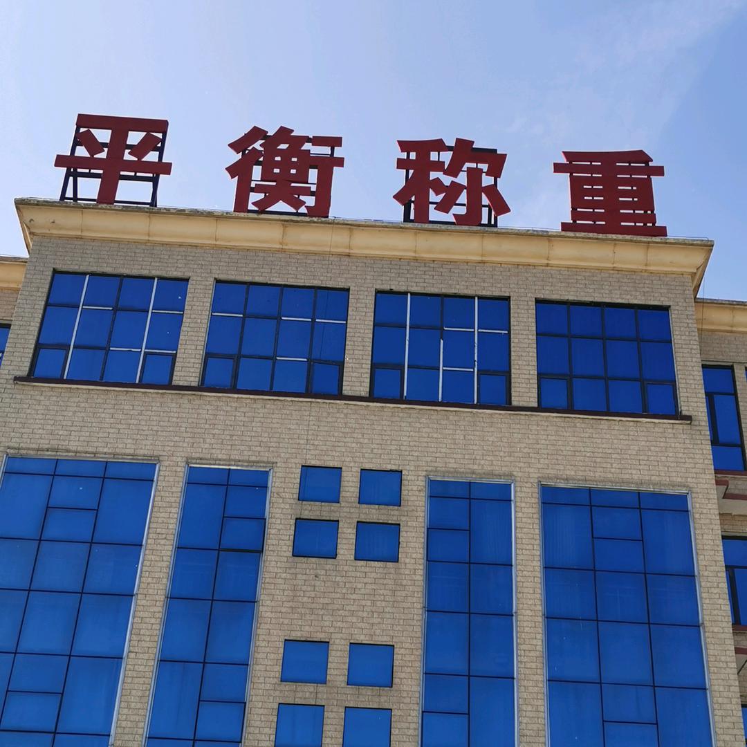 a 平顶山电子衡器制造有限公司
