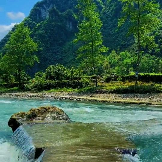 河北筛网★