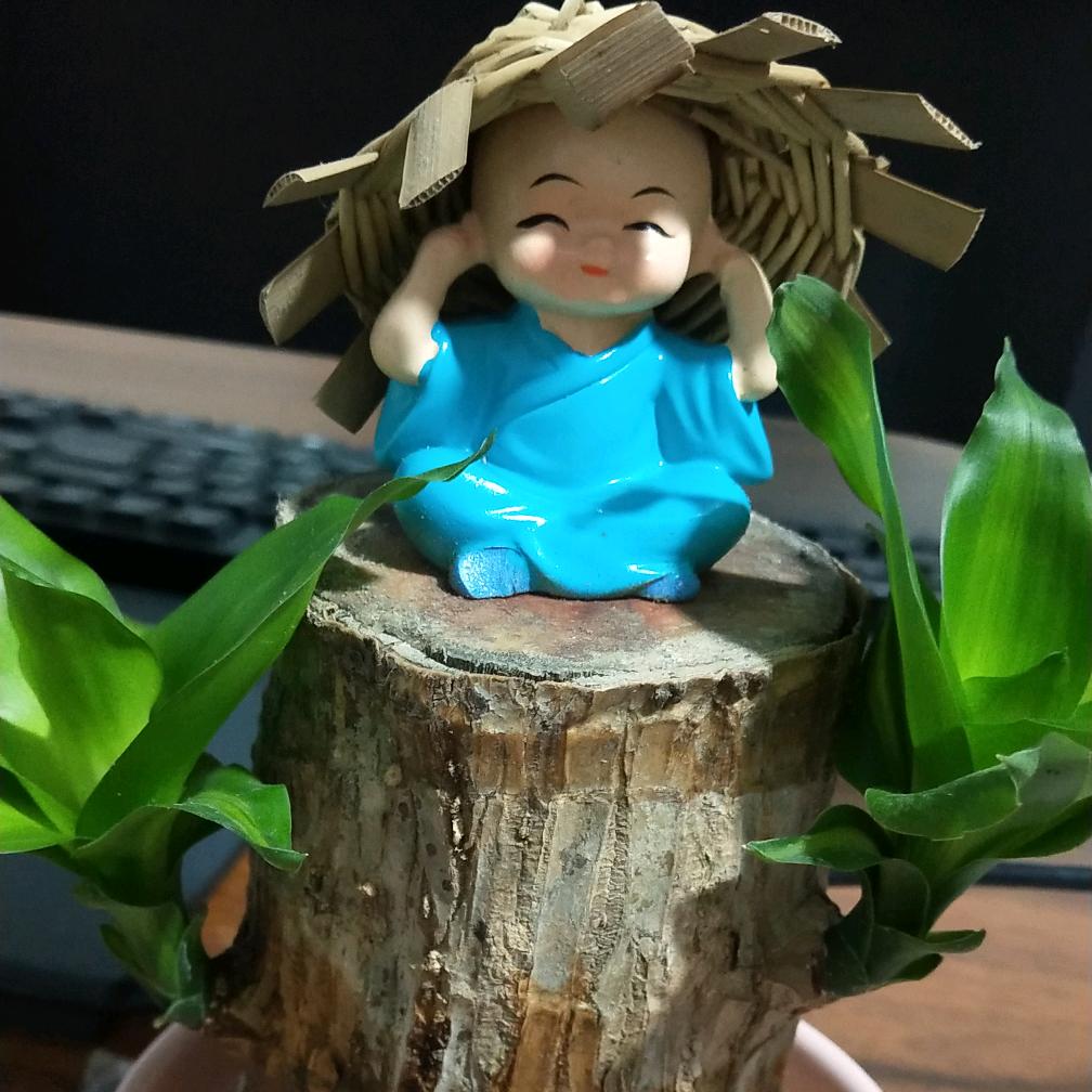 轉桷