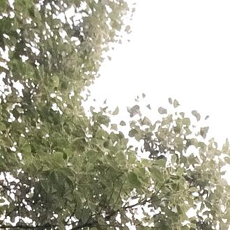 云游天下