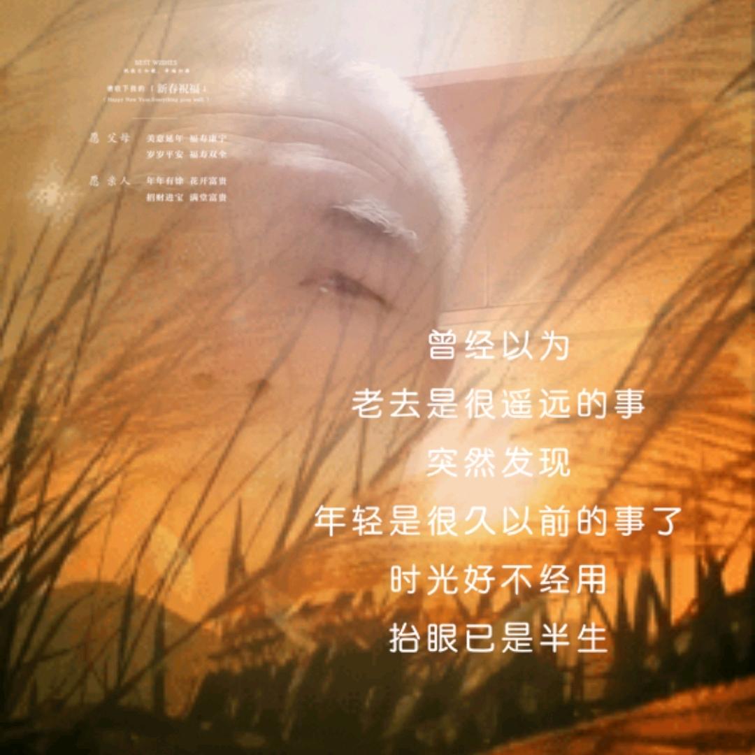 唯武独尊