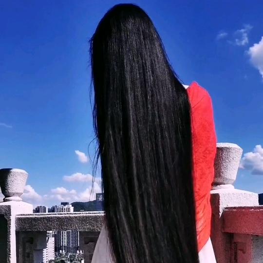 琴丝万缕