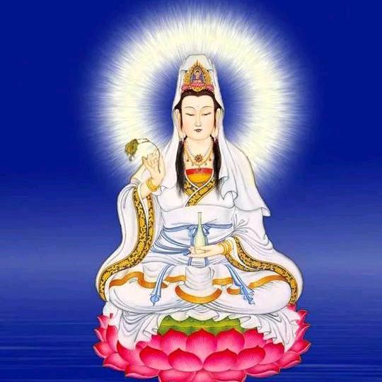 度缘