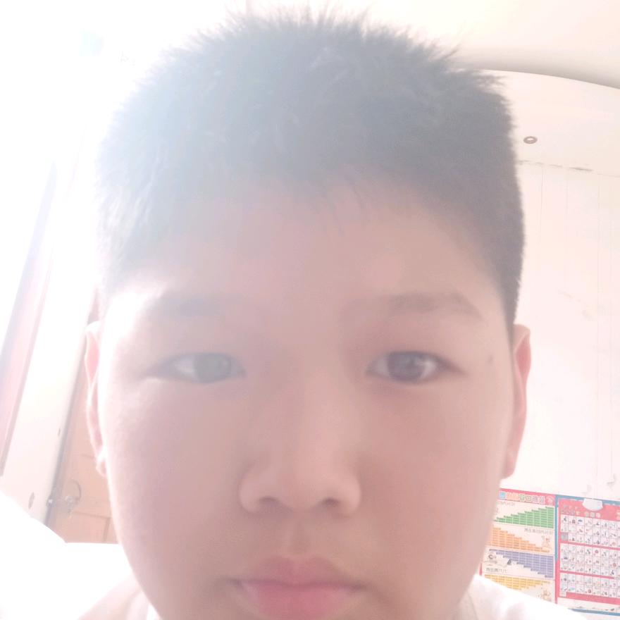 韩九芹