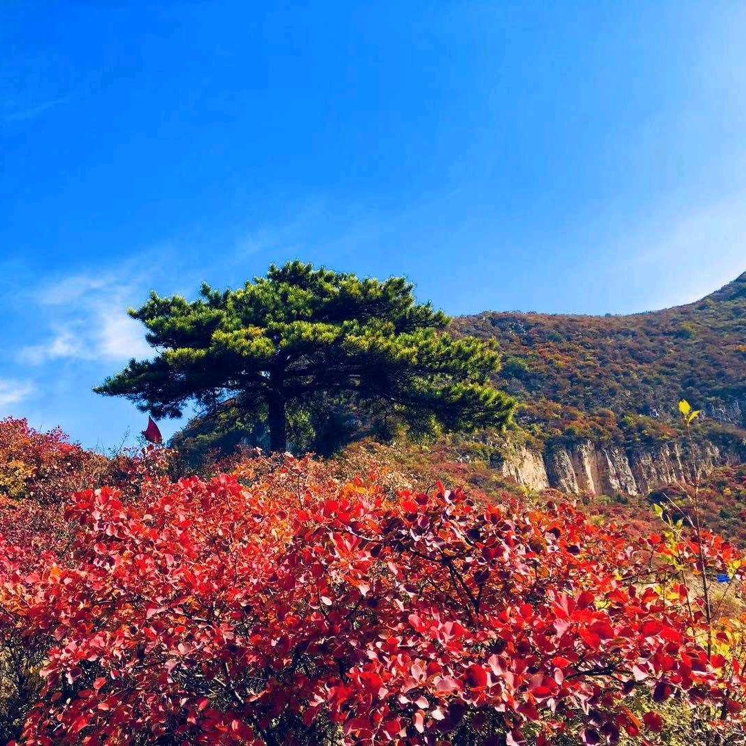 人生只有一次机会