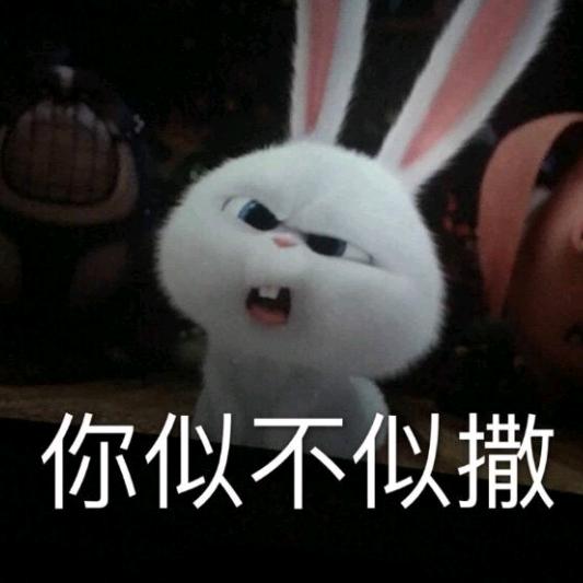 春天丶