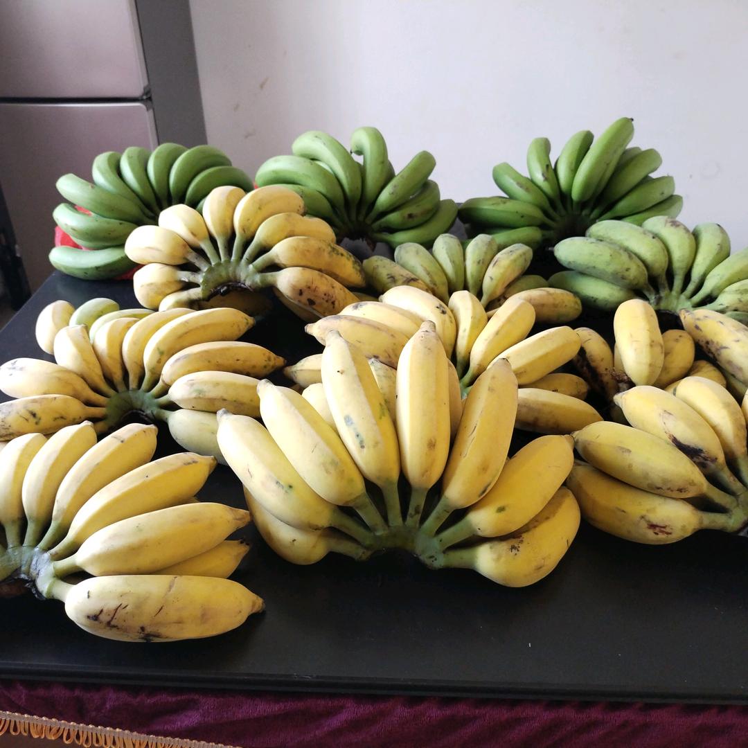 邱少爷