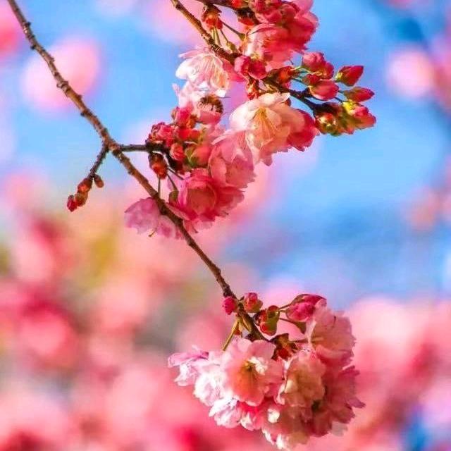 ༒小喜呀༇
