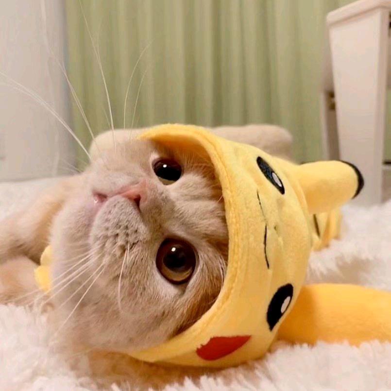 跳舞的皮夹克