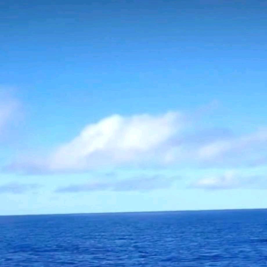 海山居士