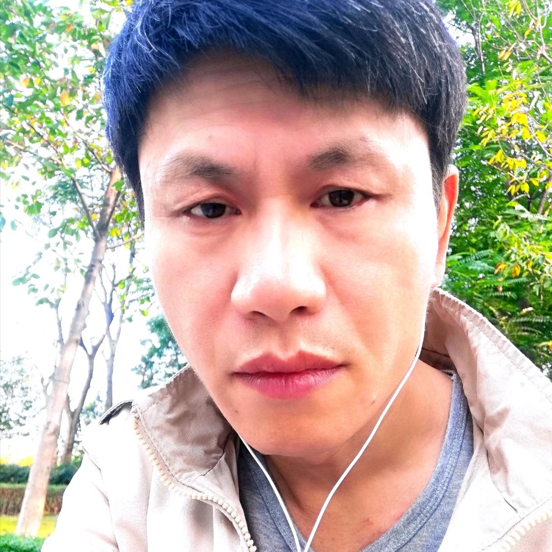 树汤哥