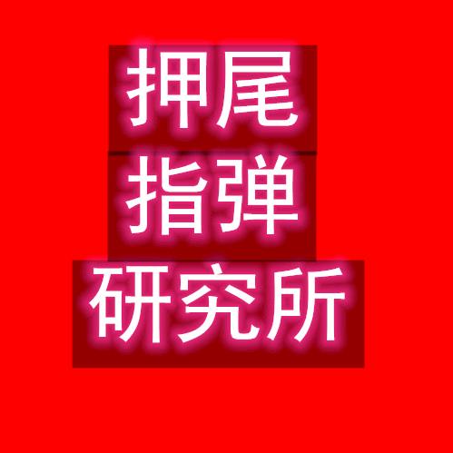 押尾指弹研究所头像