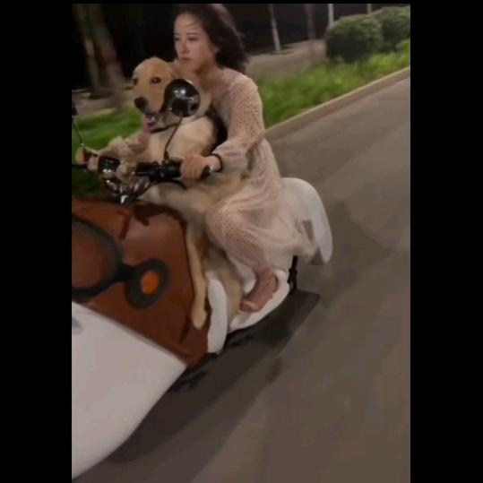 漫娜漫工