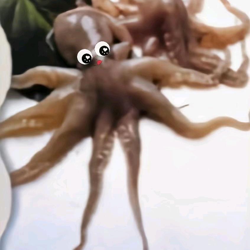 🌺八爪鱼灬