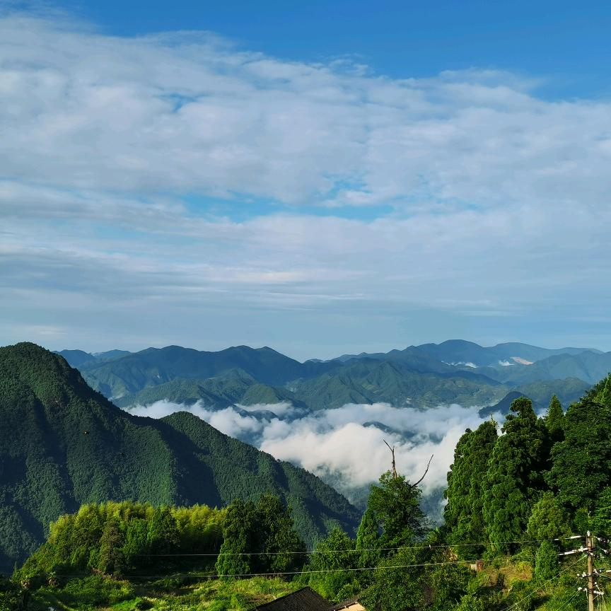 南山南