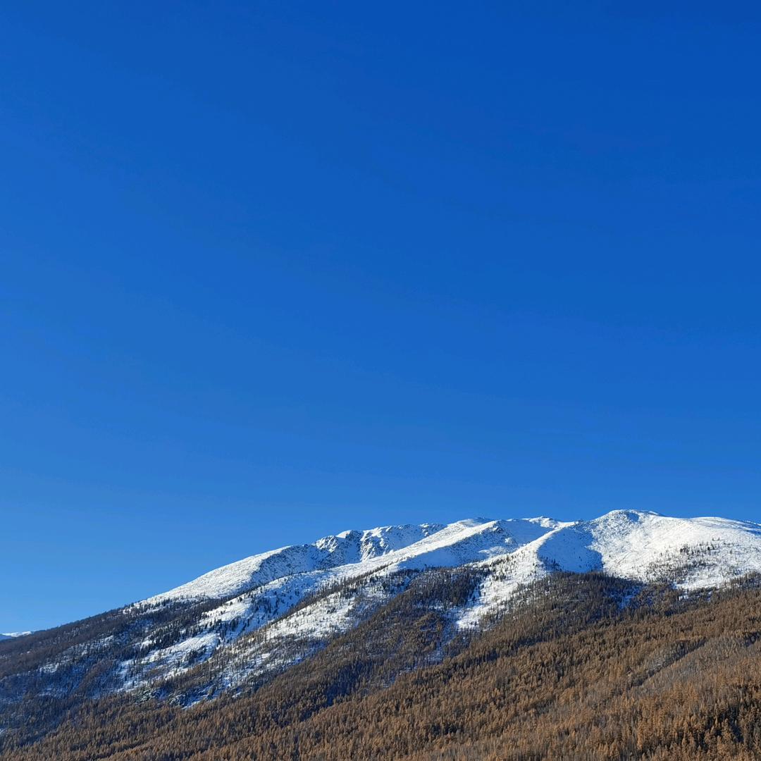 qi火箭的蜗牛