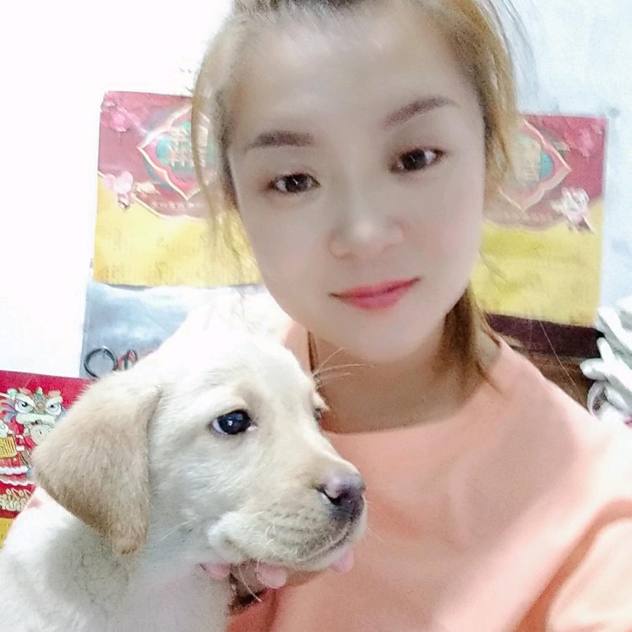 淄博博山夏家庄同汇糕点80后小双