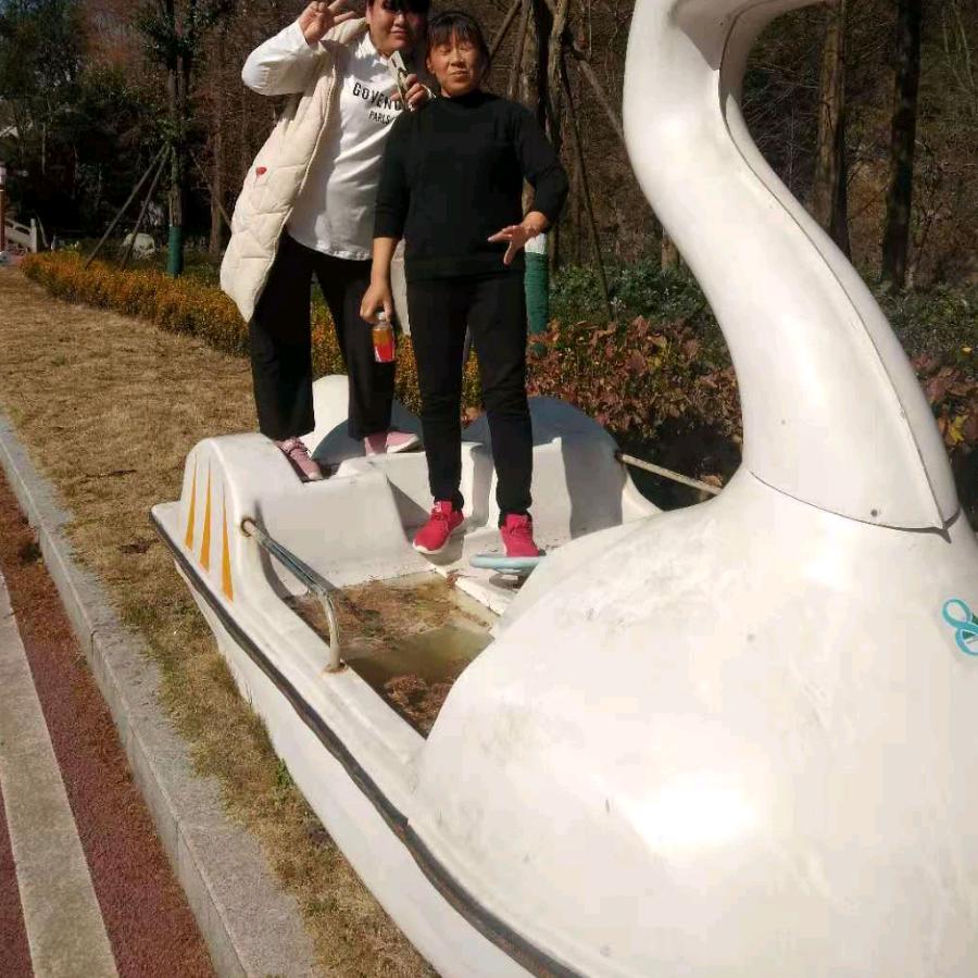 心想事成