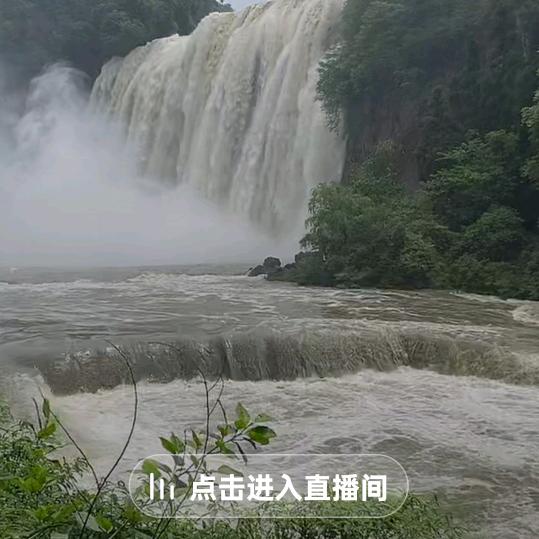 哎哟哎哟