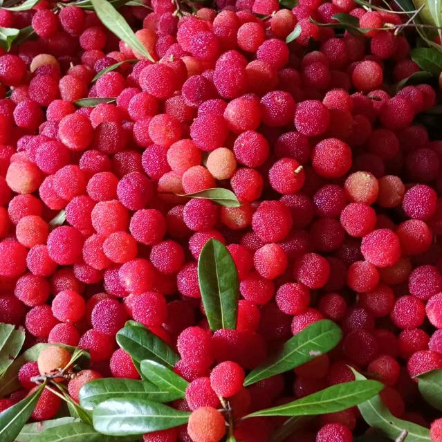 三胎(눈_눈)宝妈