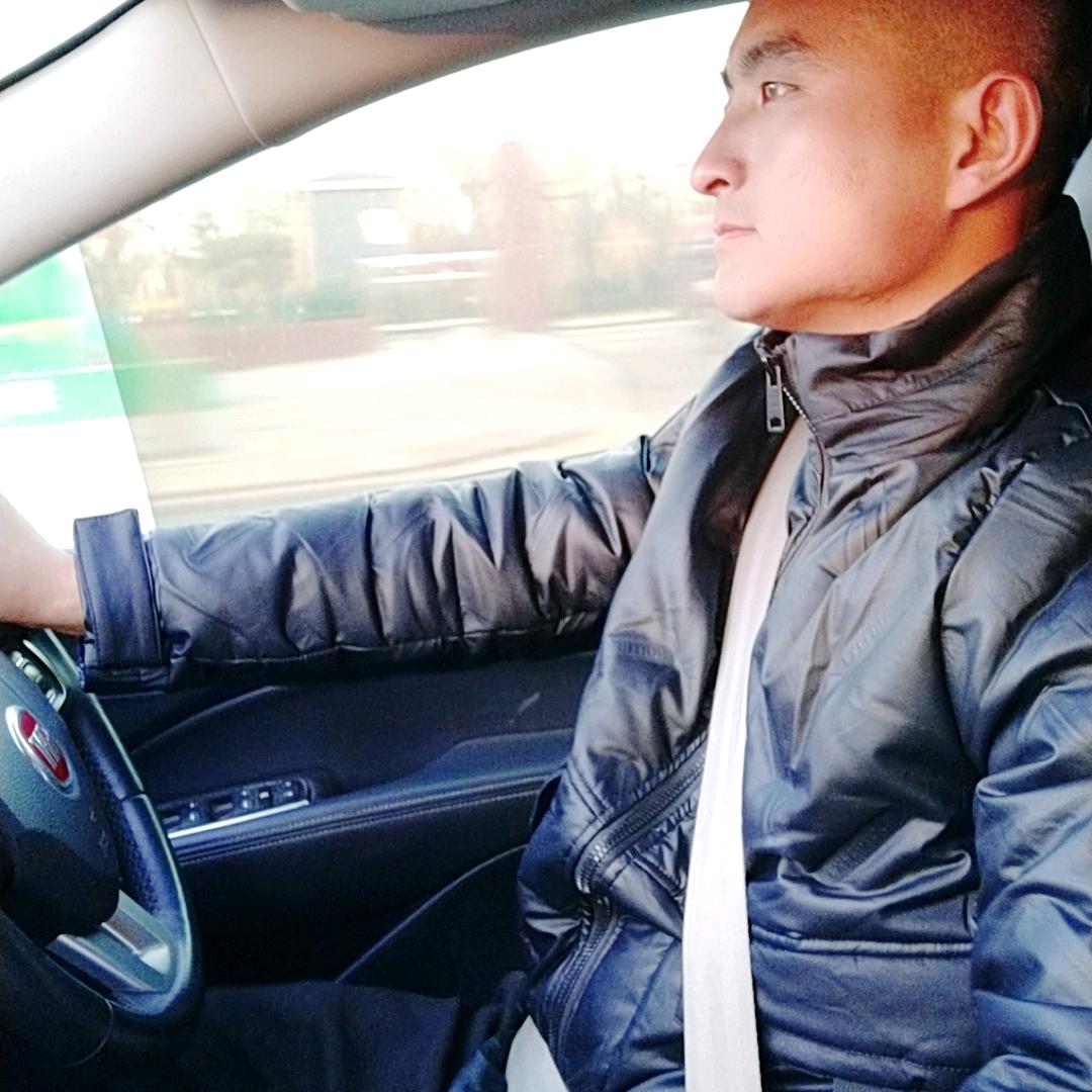 诚信赢天下  杨树